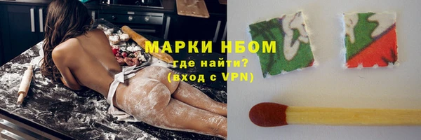 тгк Ельня