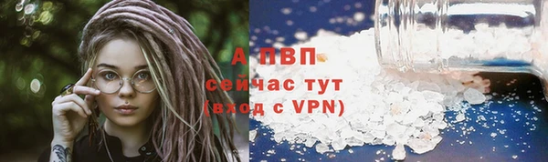 тгк Ельня