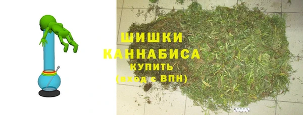 тгк Ельня