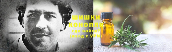 тгк Ельня