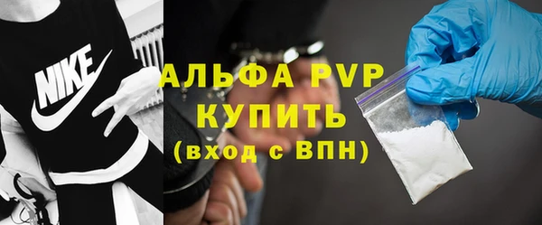 тгк Ельня