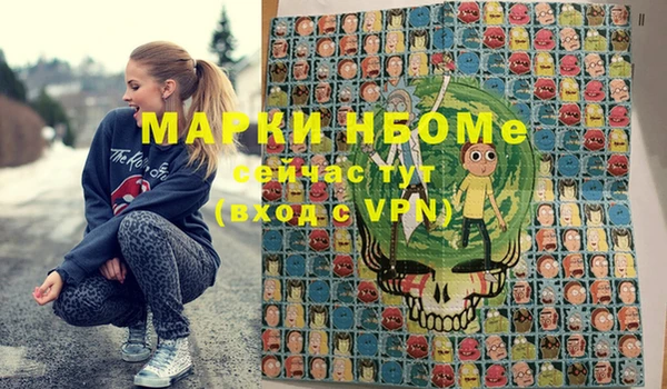 тгк Ельня
