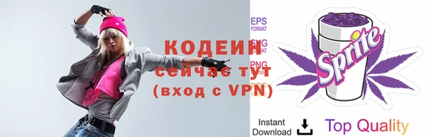 тгк Ельня