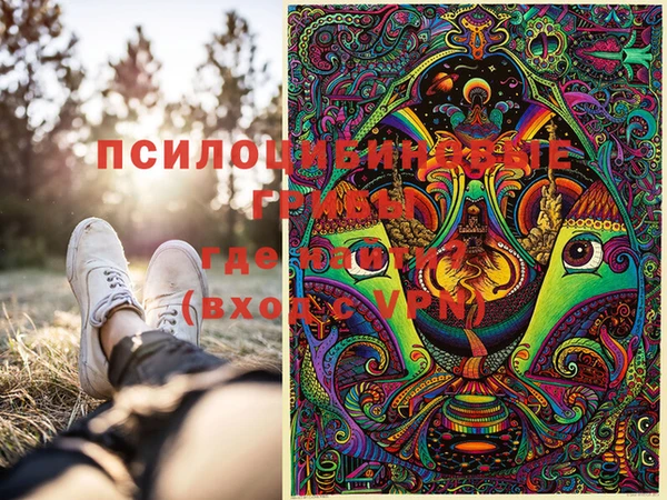 тгк Ельня