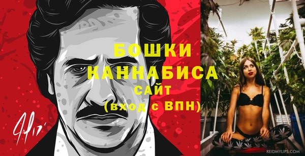 тгк Ельня