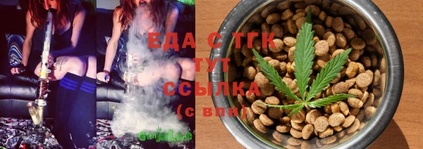 тгк Ельня