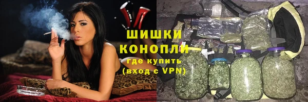 тгк Ельня