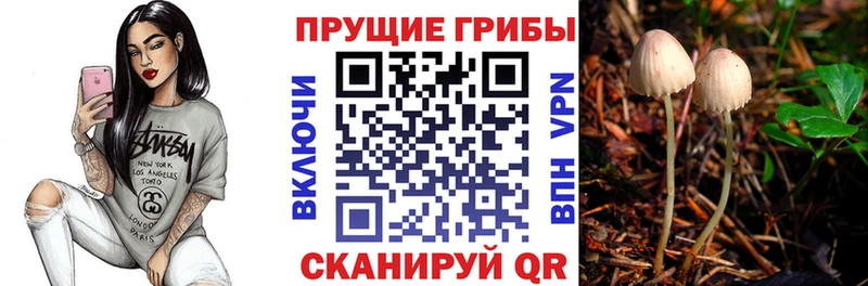 Галлюциногенные грибы GOLDEN TEACHER Арзамас
