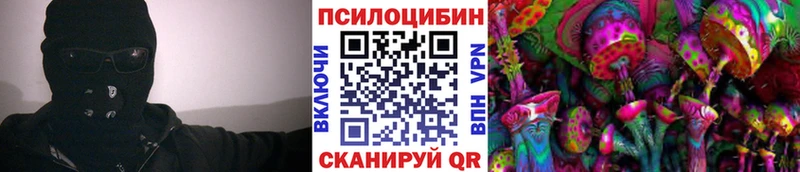 кракен зеркало Арзамас Галлюциногенные грибы Magic Shrooms