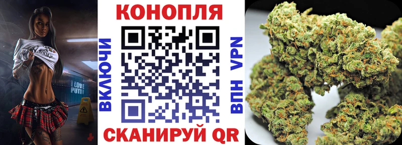 Бошки Шишки план  Арзамас 